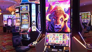 559bet app